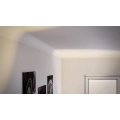 NE2 PURE NOMASTYL® Deckenleiste