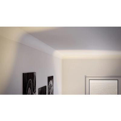 NE2 PURE NOMASTYL® Deckenleiste
