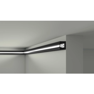 Schwarze Lichtleiste IL12 NMC 25x20