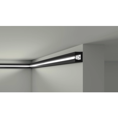 Schwarze Lichtleiste IL12 NMC 25x20