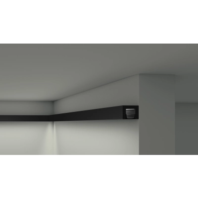 Schwarze Lichtleiste IL12 NMC 25x20